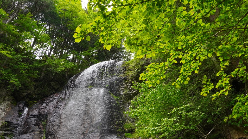 御嶽古道ハイキングと滝巡りの神秘体験ツアー